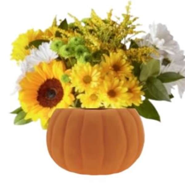 Sunflower and daisy arrangement in a pumpkin-shaped container
