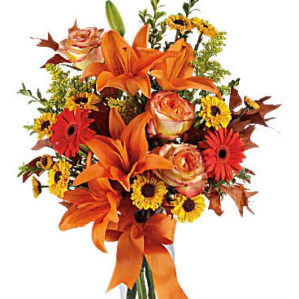 Burst of Autumn