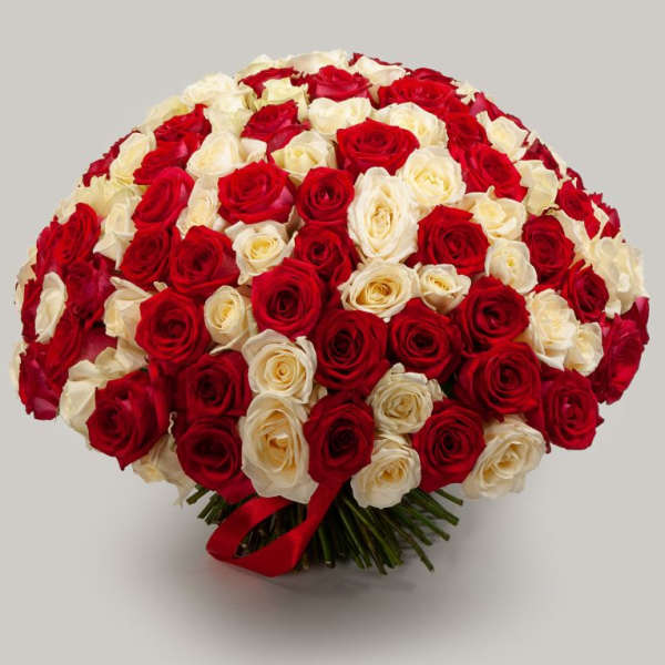 Large bouquet of red and white roses tied with a red ribbon