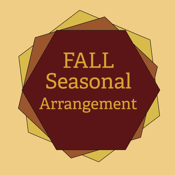 Fall Desingners Choice