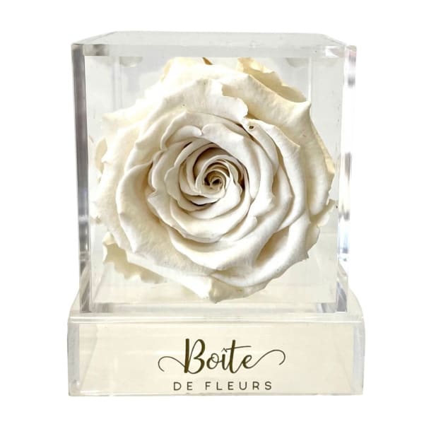 White rose in a clear acrylic box with a printed label