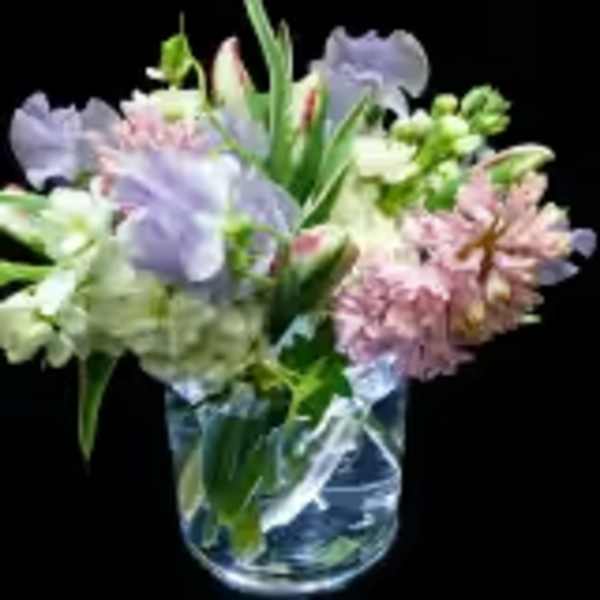 Soft Spring