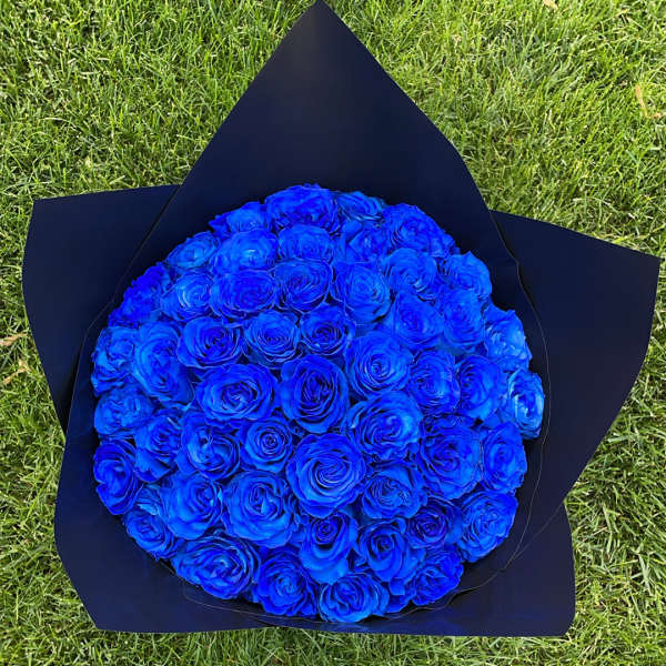 Bouquet of vivid blue roses wrapped in dark paper