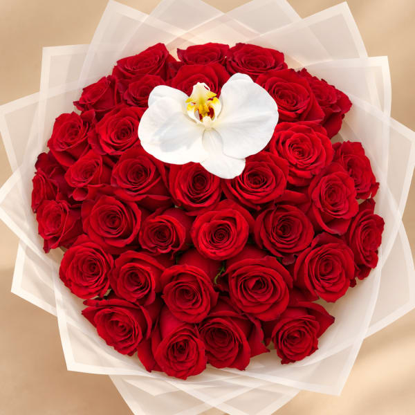 Bouquet of red roses with a white orchid accent