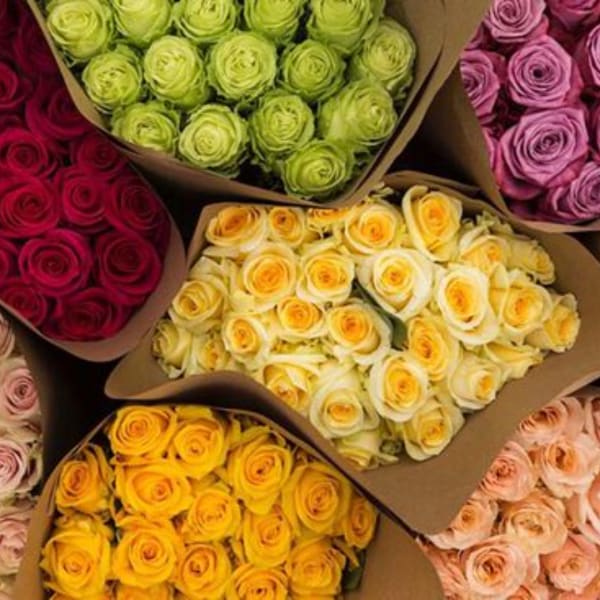 Assorted bouquets of roses in bright colors wrapped in brown paper