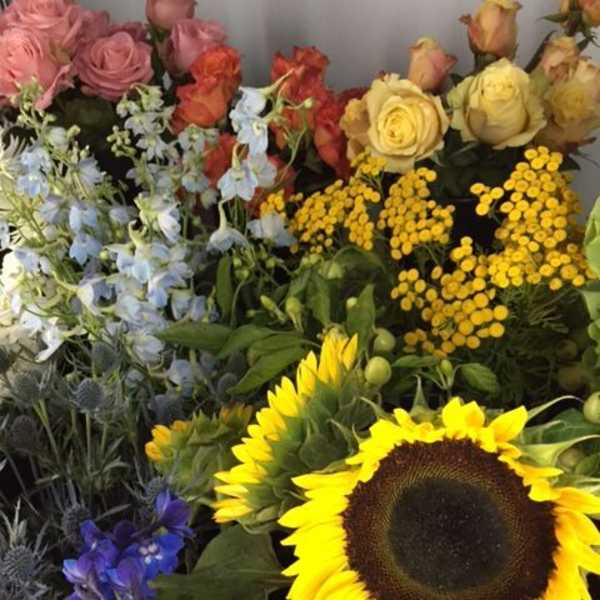 Assorted cut flowers including bright sunflowers, roses, and delphinium stems grouped together