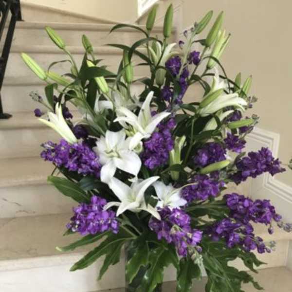 White Lilies and fragrant Purple Stock
