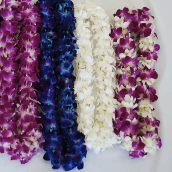 Four orchid leis in purple, blue, white, and magenta