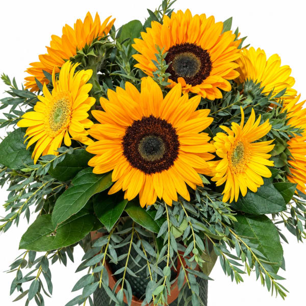 Bouquet of yellow sunflowers with greenery in a vase