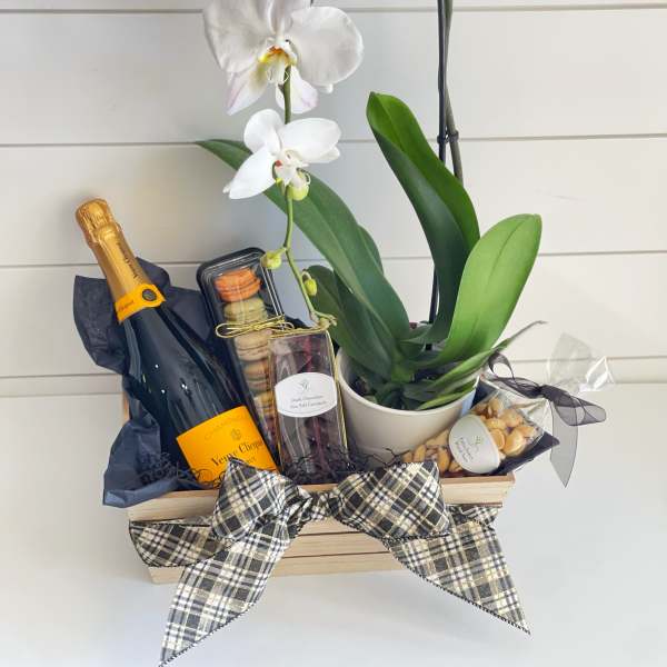 White orchid plant in a pot with champagne and chocolates in a gift basket
