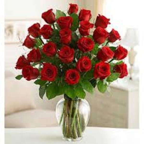 24 Roses Vased