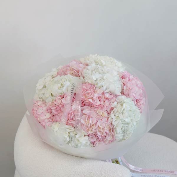 Round bouquet of pink and white hydrangeas wrapped in translucent paper