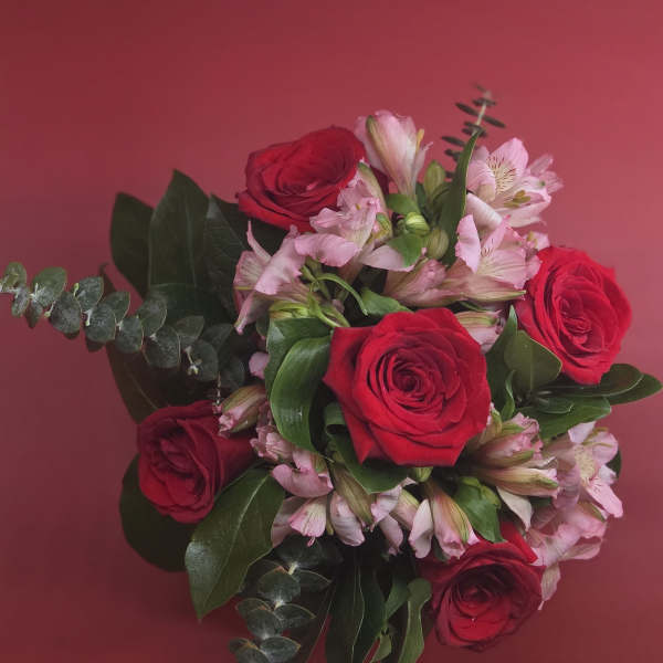 Bouquet of red roses and pale pink alstroemeria on a pink background