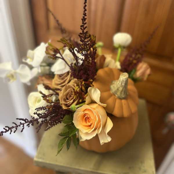 Pumpkins decorated with roses and white orchids