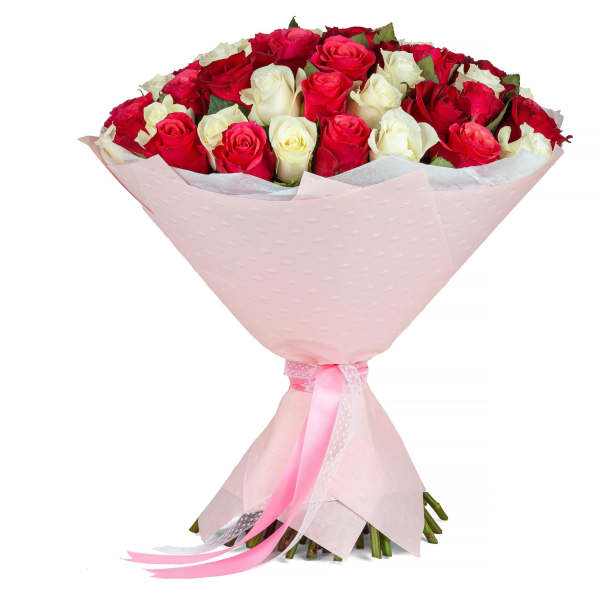 Bouquet of red and white roses wrapped in pink paper with ribbon