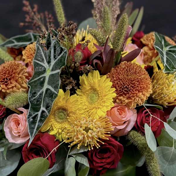 Designer's Choice Autumn