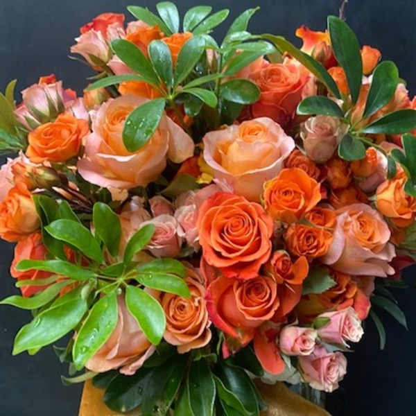 Bouquet of orange and peach roses with glossy green foliage