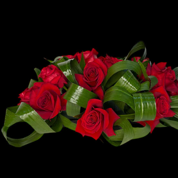 Red roses arranged with looping green leaves on a black background