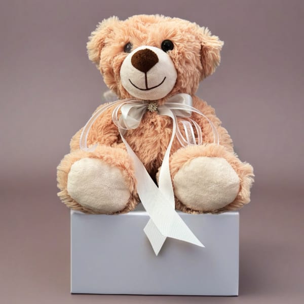 Plush teddy bear with a white ribbon sitting on a box