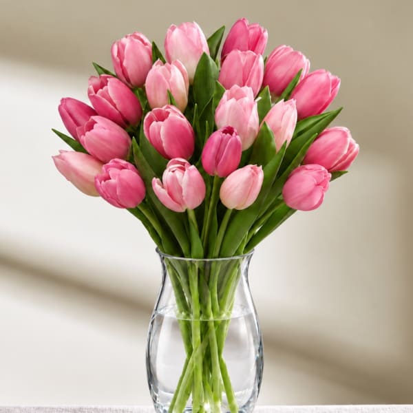Pink tulips arranged in a clear glass vase