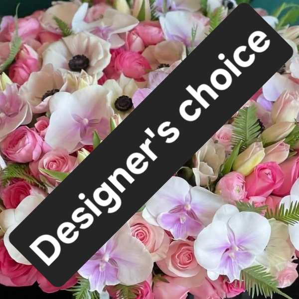 Designer's Choice - Dance