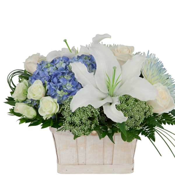 Comfort Basket