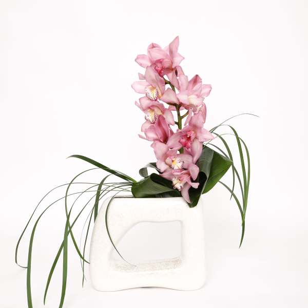 Pink orchid stems arranged in a white ceramic vase with long grass-like leaves