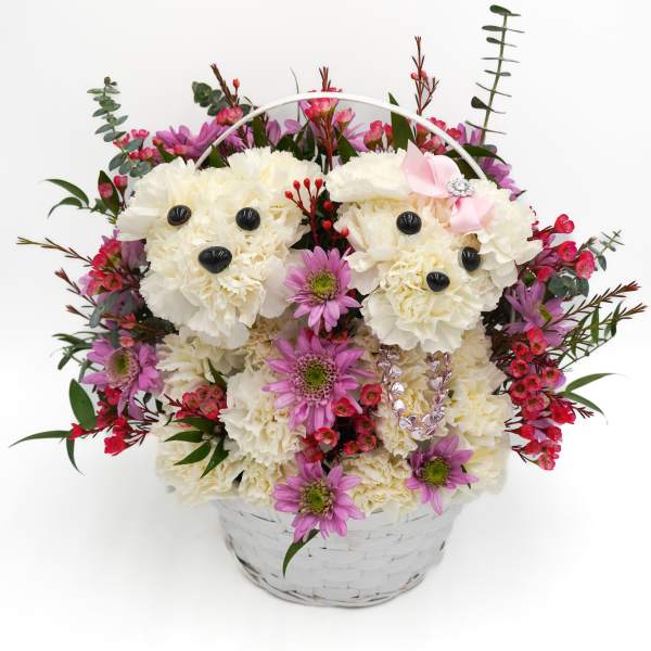 Basket arrangement of white carnations shaped like teddy bears with pink flowers