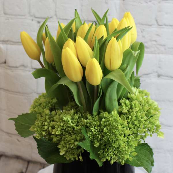Yellow tulips arranged in a black vase with green hydrangeas