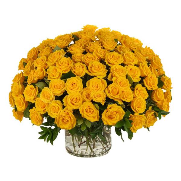 Large dome of yellow roses arranged tightly in a clear glass cylinder vase