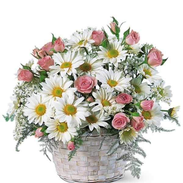 Pink roses and white daisies in a woven basket