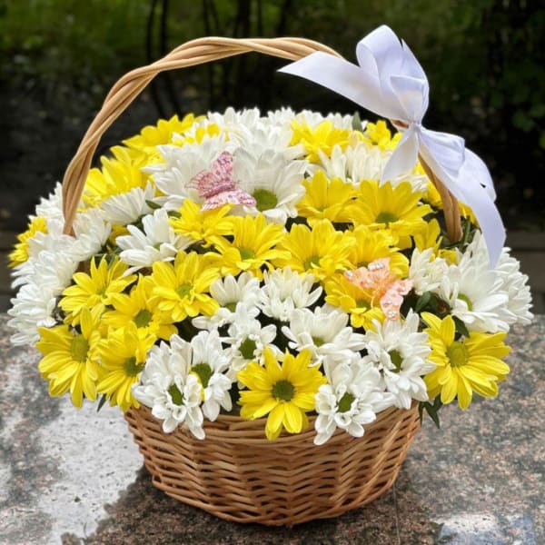 Basket of yellow and white daisies with a white ribbon bow