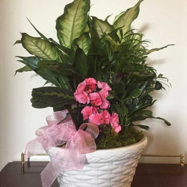 Pink flowers in a white woven basket planter with a pink ribbon