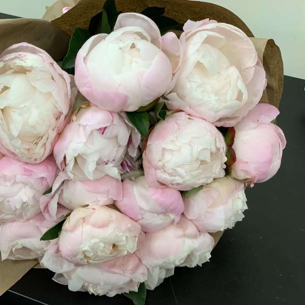 Bouquet of pale pink and white peonies wrapped in brown paper