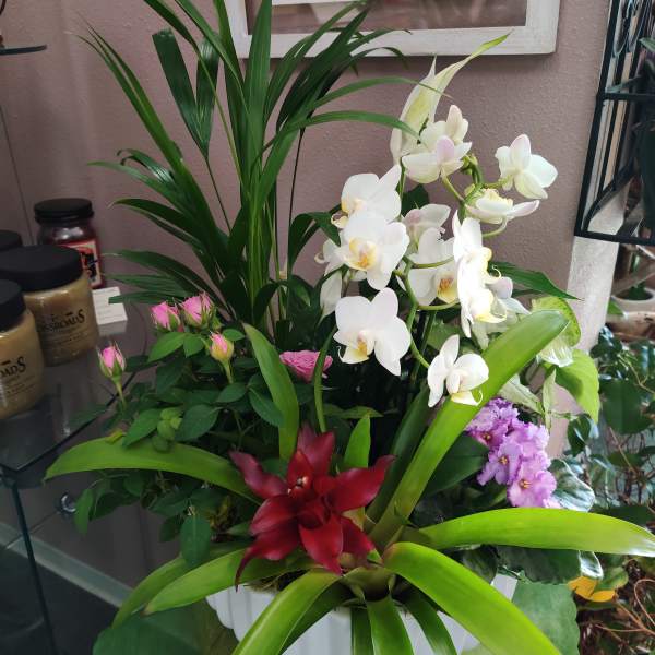 Mixed floral arrangement with white orchids, pink roses, and red tropical blooms in a white container