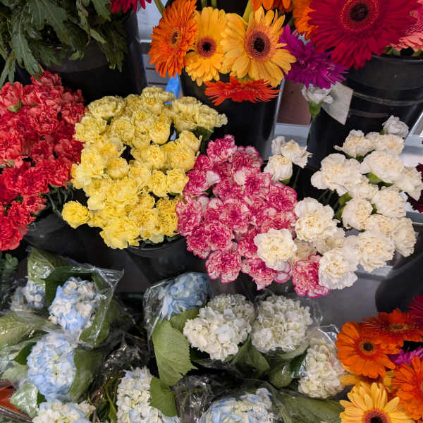 Buckets of colorful carnations and gerbera daisies at a flower market