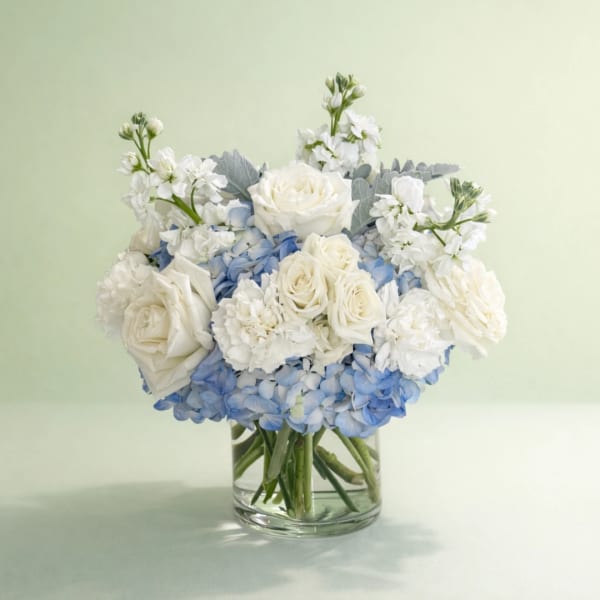 White roses and blue hydrangeas arranged in a clear glass vase
