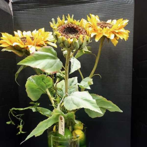 Three yellow sunflowers in a glass vase filled with green apples