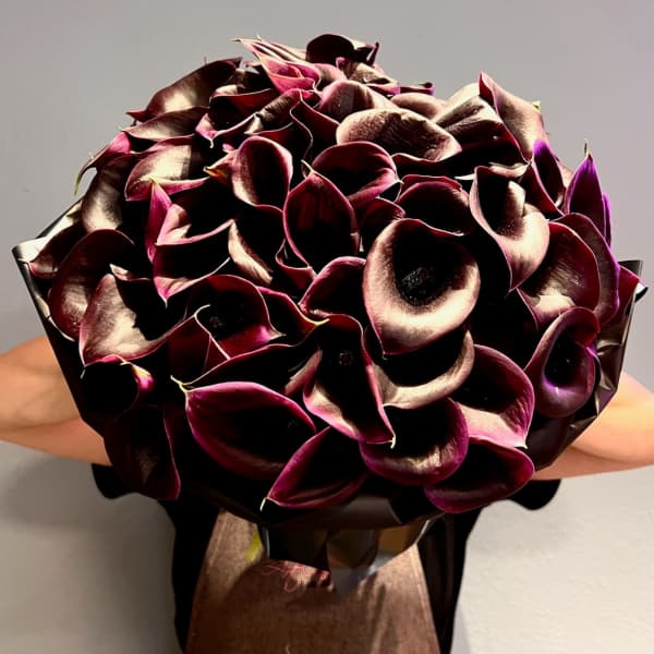 Bouquet of dark burgundy calla lilies wrapped in paper