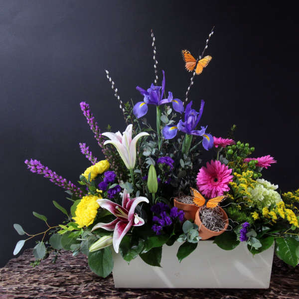 Vibrant Meadow - Sympathy