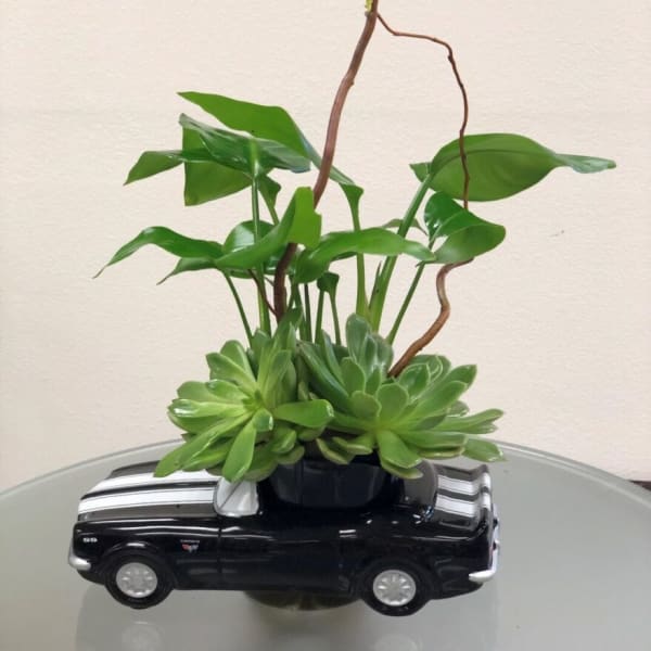 Succulent planter in a black car-shaped container with tall leafy stems