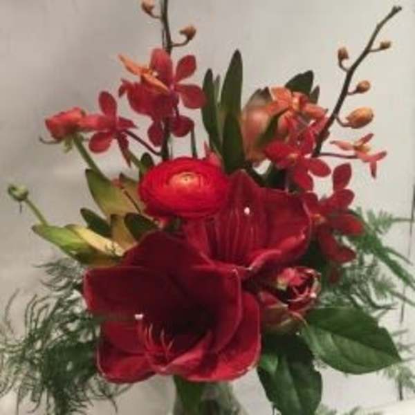 Tall arrangement of red amaryllis and mixed red-orange blooms in a clear glass vase