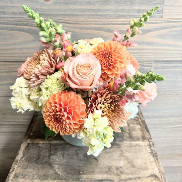 Pumpkin Blush