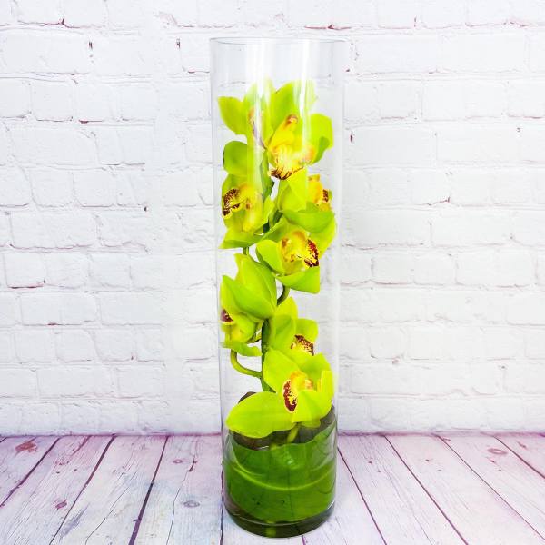 Tall glass vase with bright green orchids