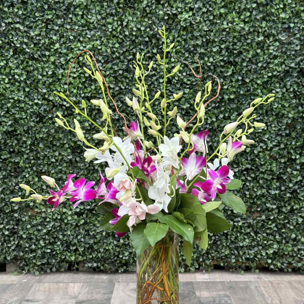 Tall orchid arrangement in a glass vase with pink and white blooms