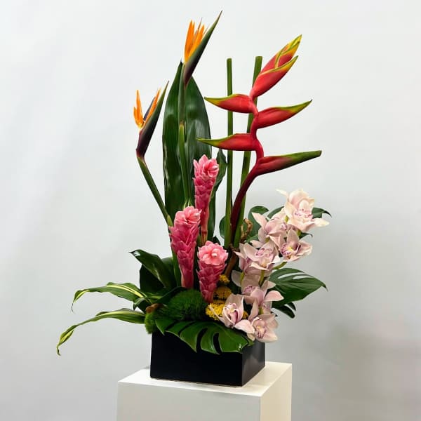 Tropical arrangement with red heliconia, pink ginger, and pale orchids in a black box