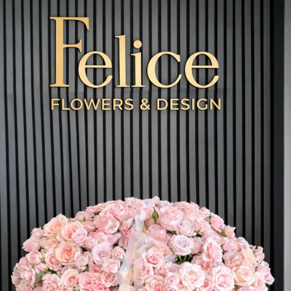 Large basket of pale pink roses with a ribbon bow
