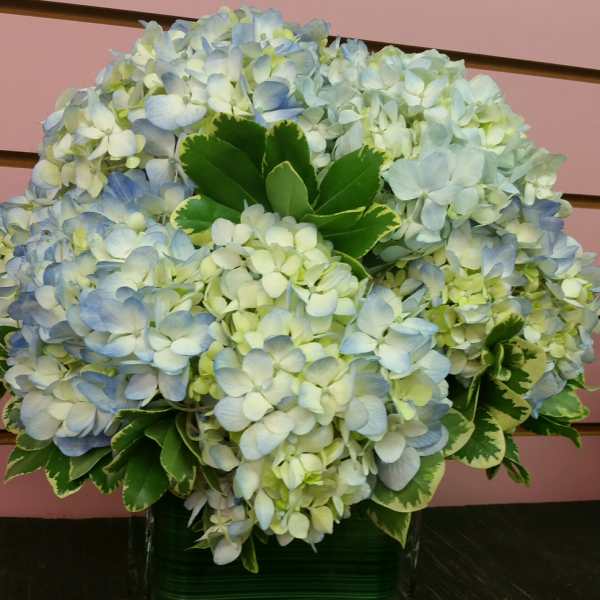 Hydrangea Bouquet