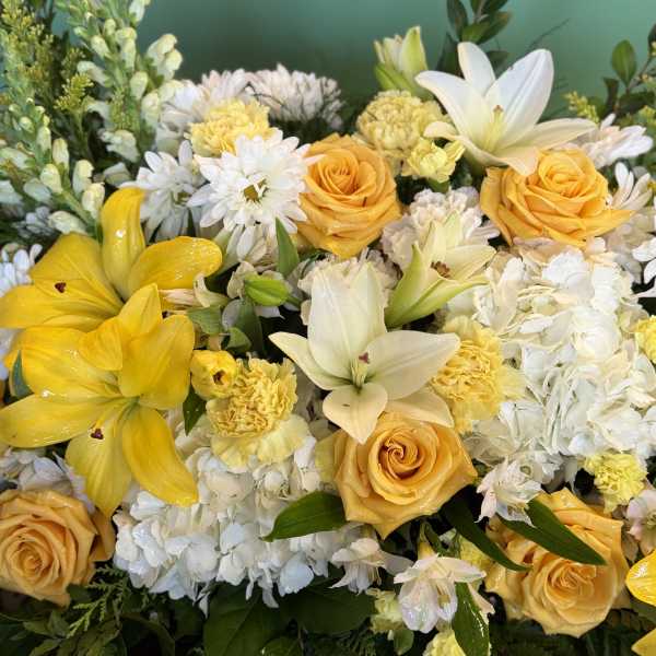 Golden Glow & Pure Grace