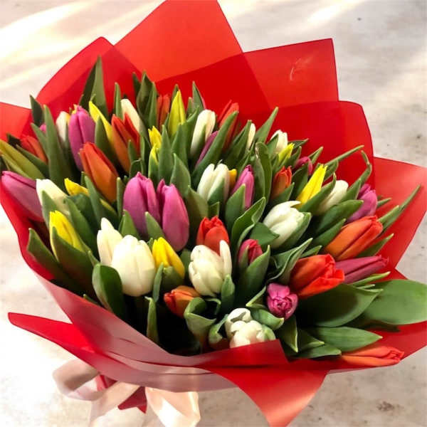 50 Spring Tulips Bouquet